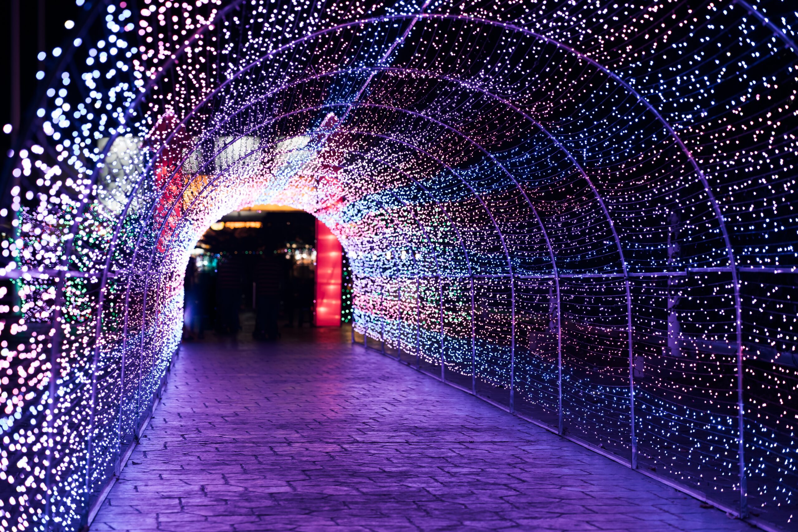 Amazing light festival.